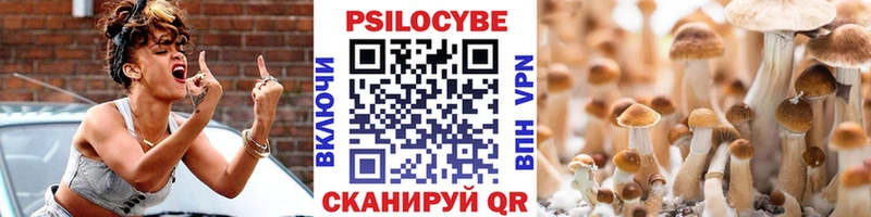 Купить где  Болотное  Галлюциногенные грибы Psilocybe 